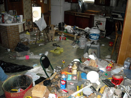 My cats spend most of their time under the bed in disgust and embarrassment.